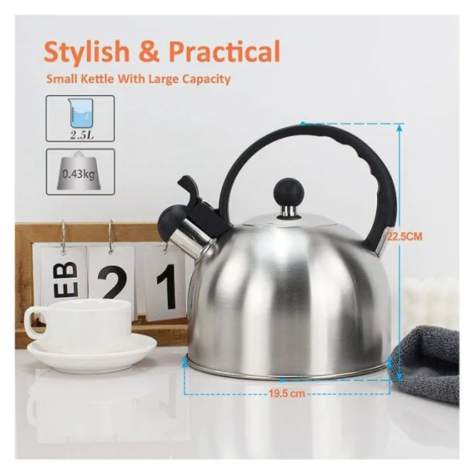 Bouilloire SIFFLET INOX 2.5L