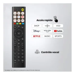 TV MINILED 50