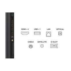 TV MINILED 55